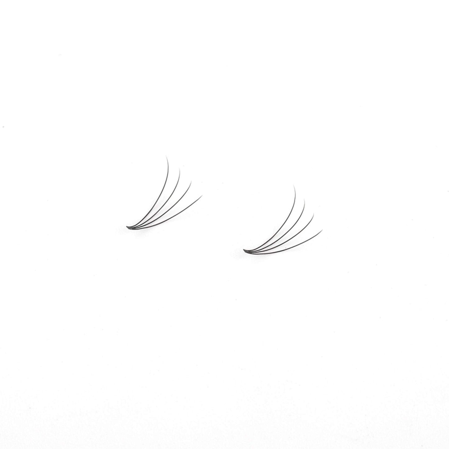 Miosh Eyelash Extensions - XL 4D Premade Volume Short Stem Lash 0.10 / D CURL