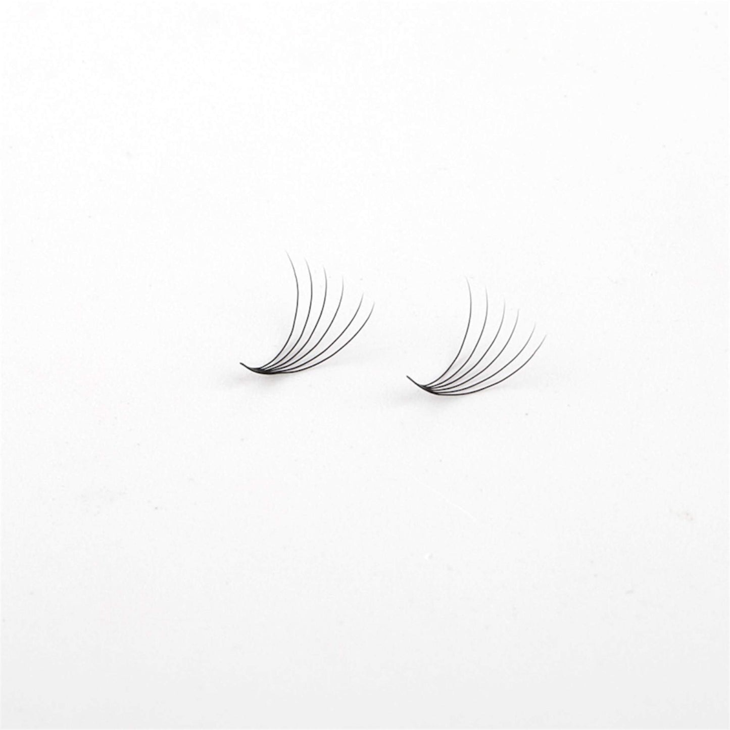 XL 6D Premade Short Stem Eyelash Extensions - 0.07 / D CURL