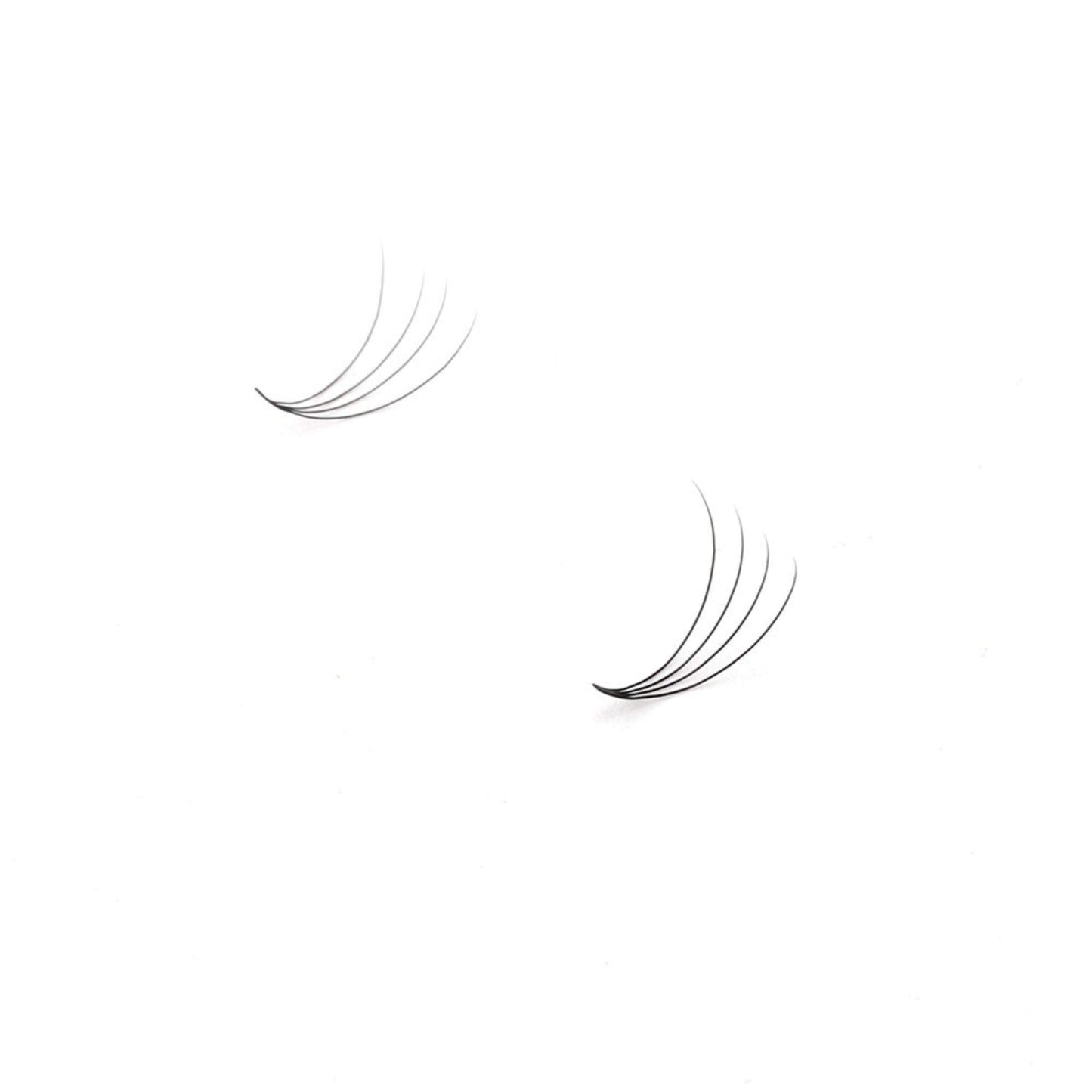 Miosh Eyelash Extensions - XL 4D Premade Volume Short Stem Lash 0.07 / D CURL