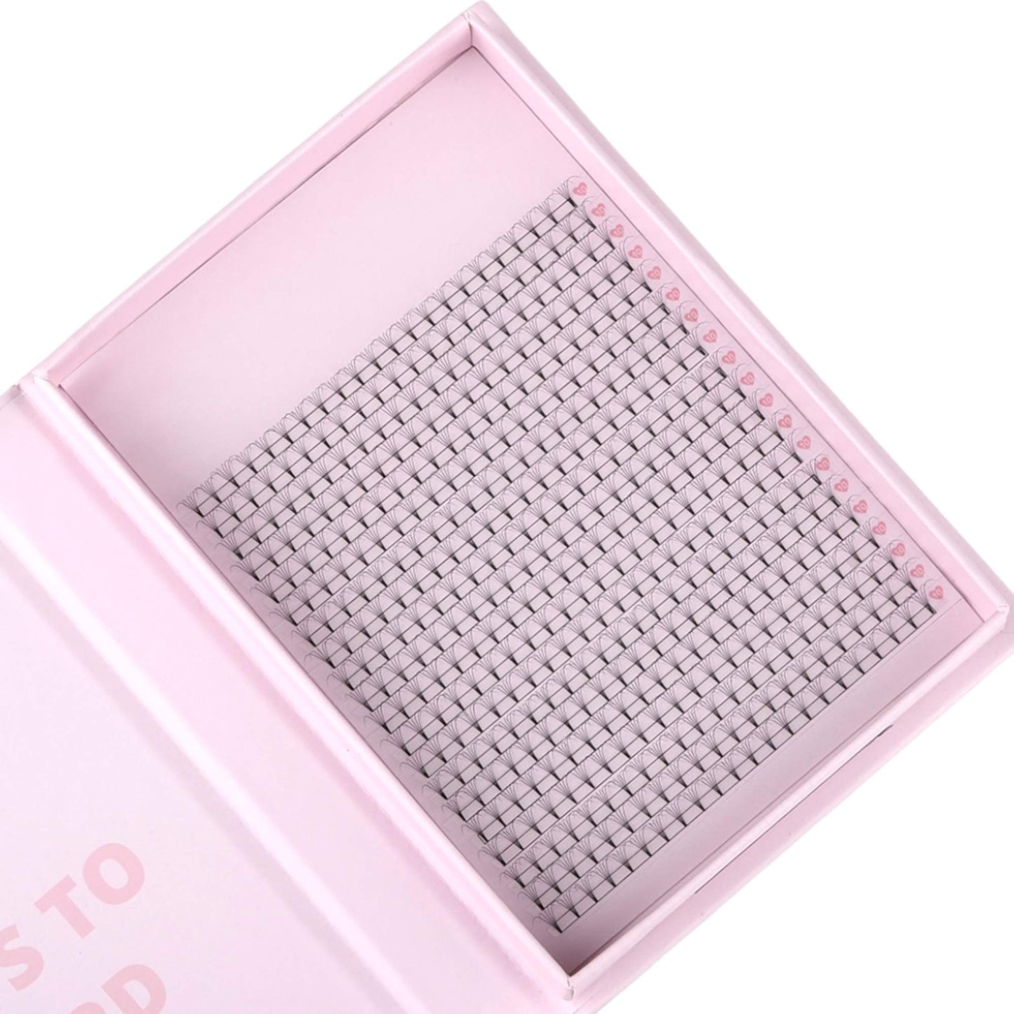 Miosh Eyelash Extensions - XL 5D Premade Volume Short Stem Lash 0.07 / D CURL