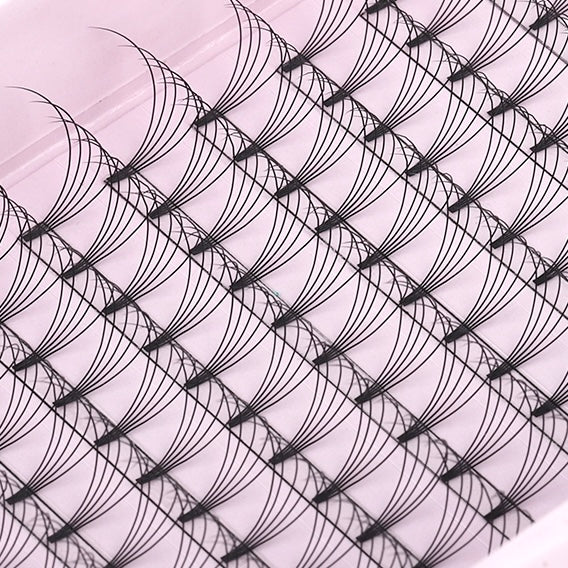 XL 5D Premade Short Stem Eyelash Extensions - 0.10 / D CURL
